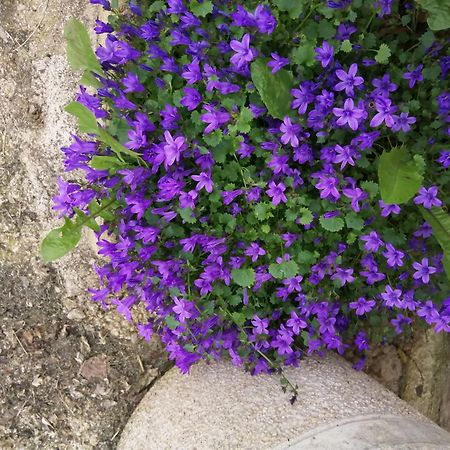 הוילה O Jardin De Boutancourt מראה חיצוני תמונה