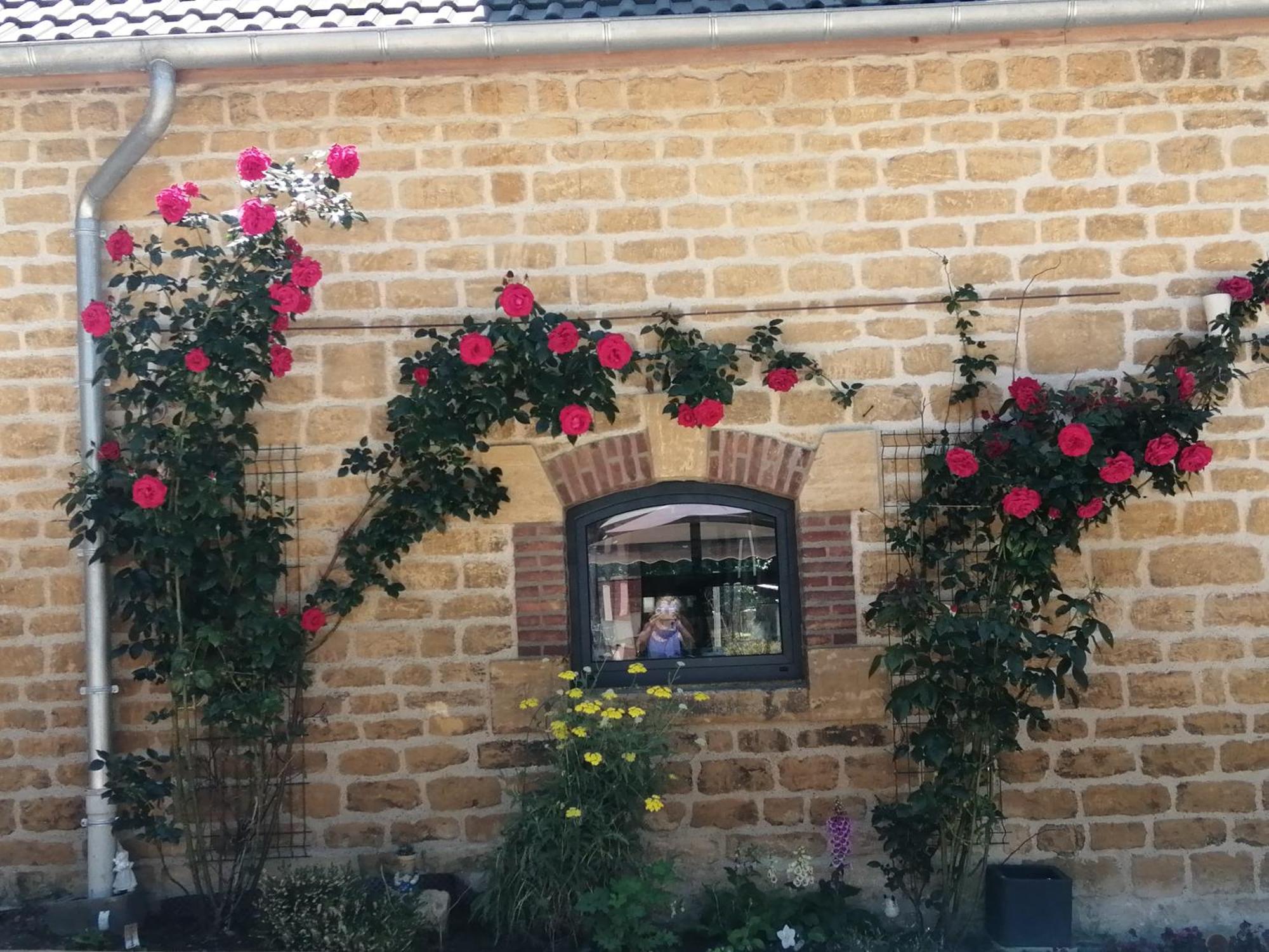 הוילה O Jardin De Boutancourt מראה חיצוני תמונה