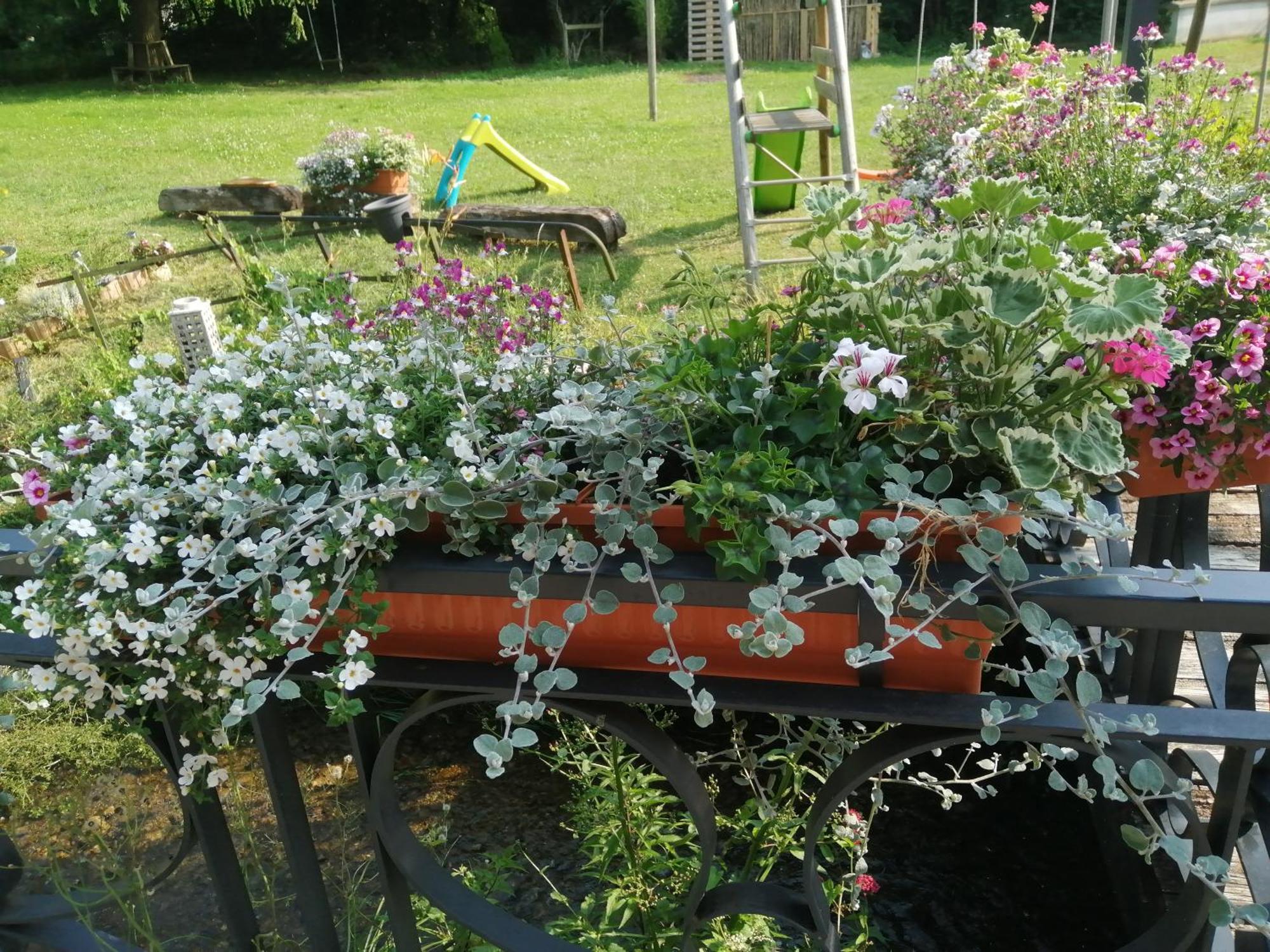 הוילה O Jardin De Boutancourt מראה חיצוני תמונה