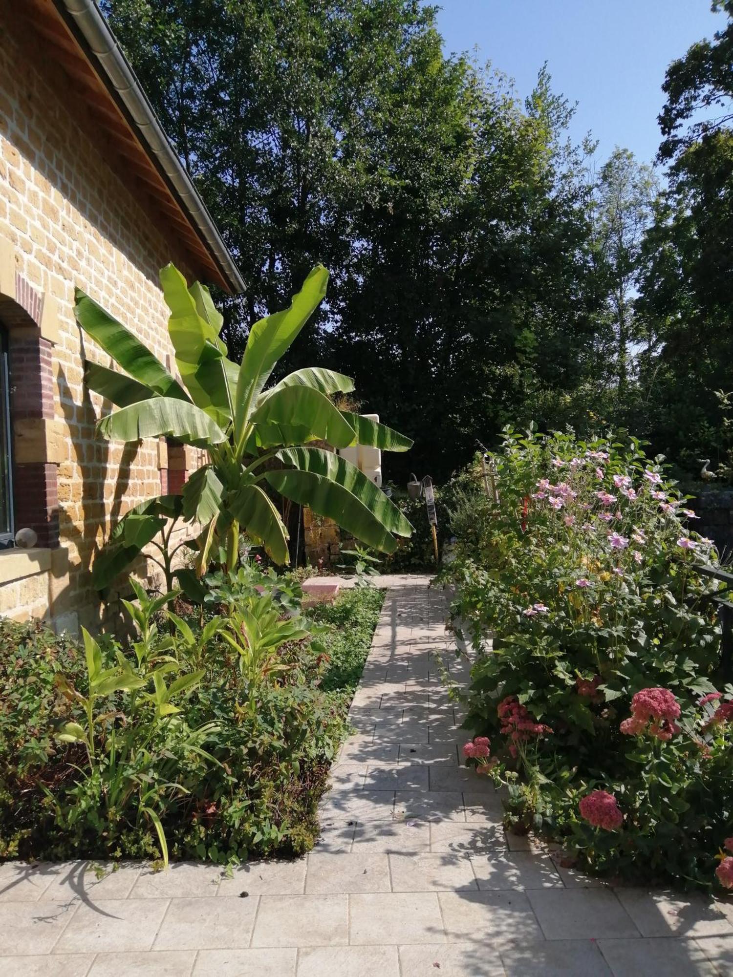 הוילה O Jardin De Boutancourt מראה חיצוני תמונה