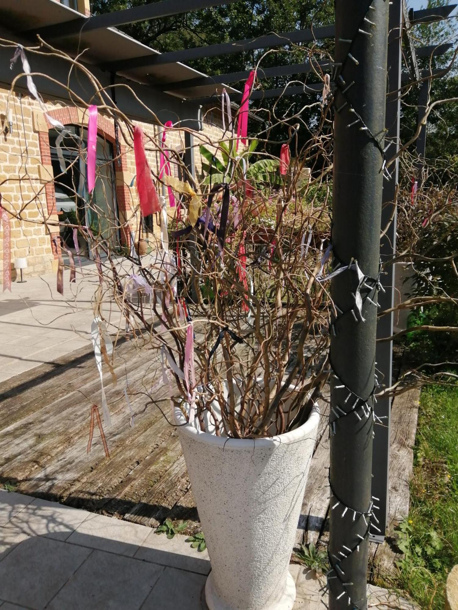 הוילה O Jardin De Boutancourt מראה חיצוני תמונה