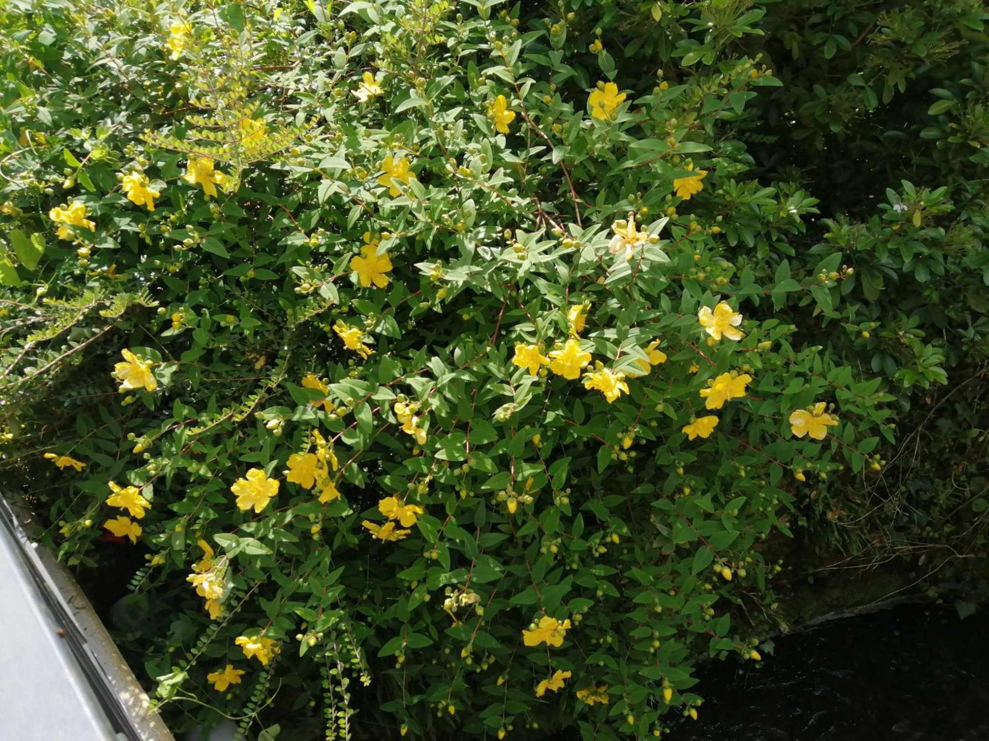 הוילה O Jardin De Boutancourt מראה חיצוני תמונה