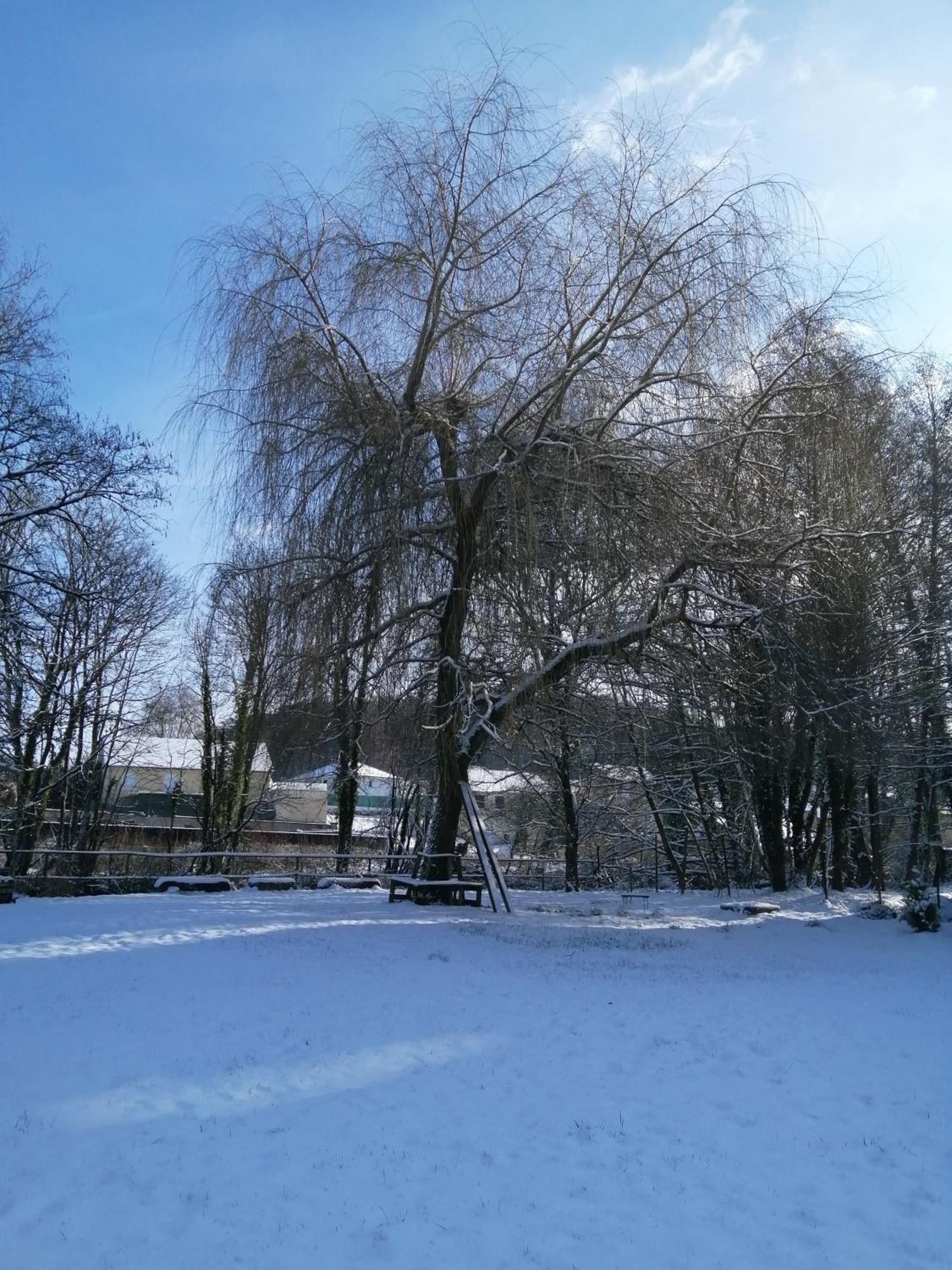 הוילה O Jardin De Boutancourt מראה חיצוני תמונה