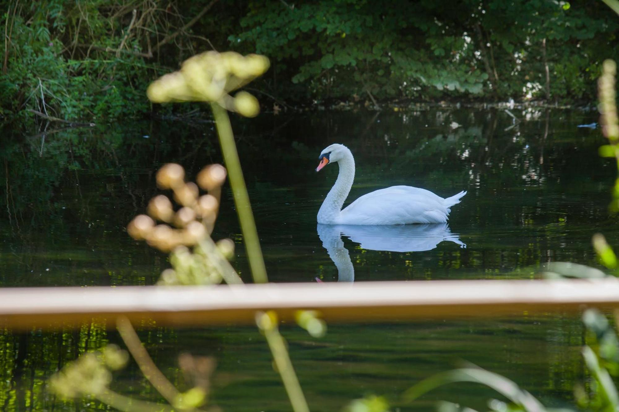 הוילה O Jardin De Boutancourt מראה חיצוני תמונה